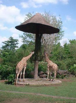 Taman Safari Prigen