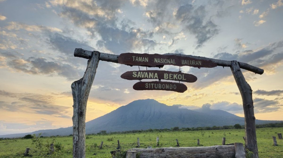 Taman Nasional baluran