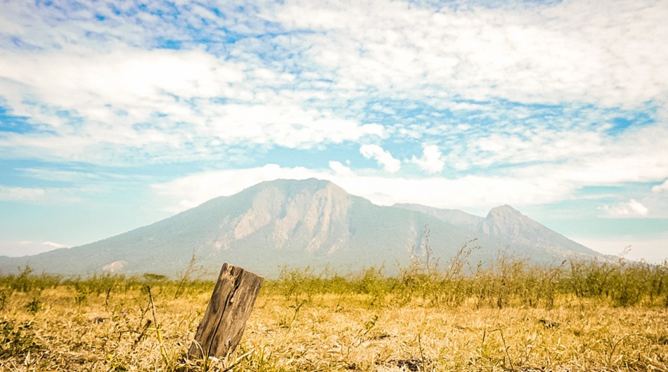 Savana Baluran