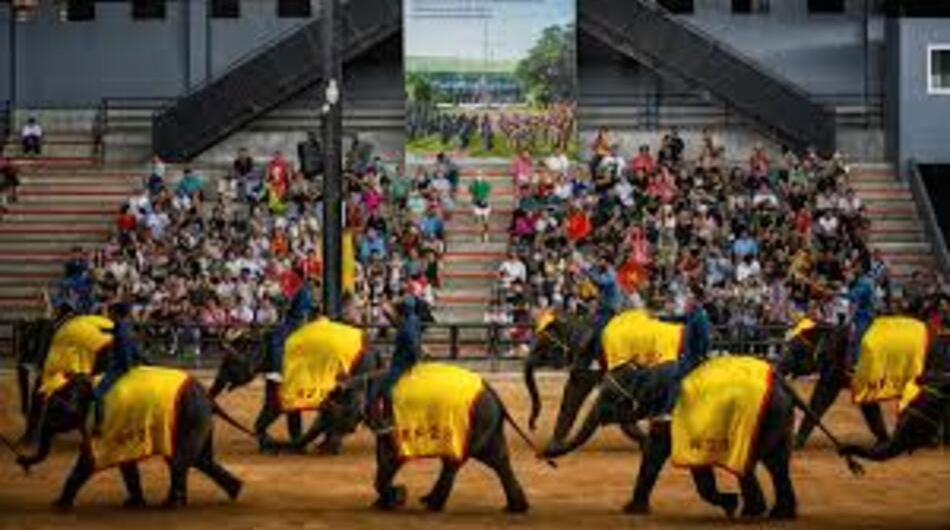 Nongnooch Village (Thai Culture Show & Elephant show)