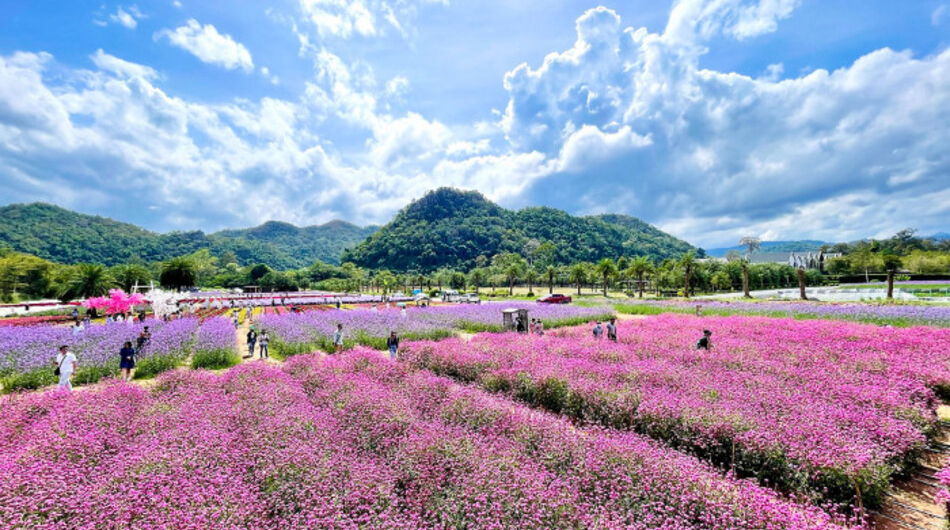 HOKKAIDO FLOWER PARK