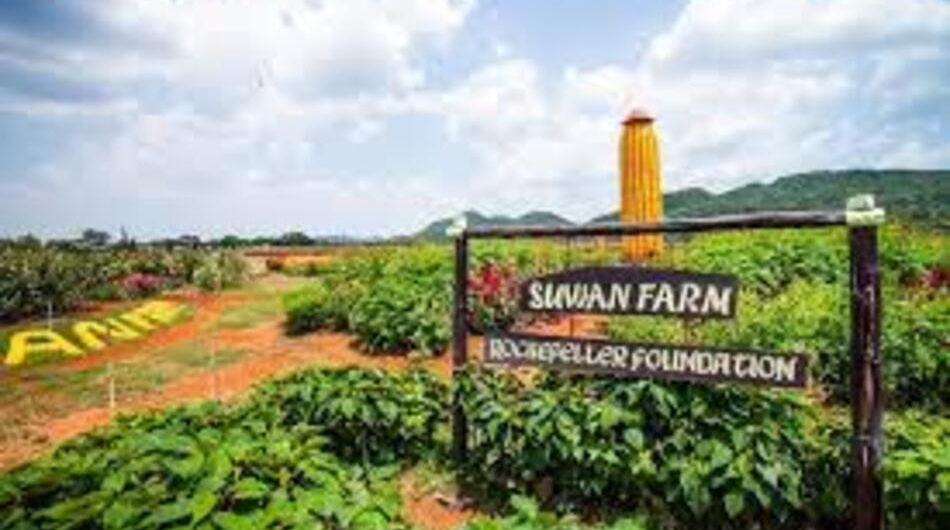 SUWAN CORN FARM