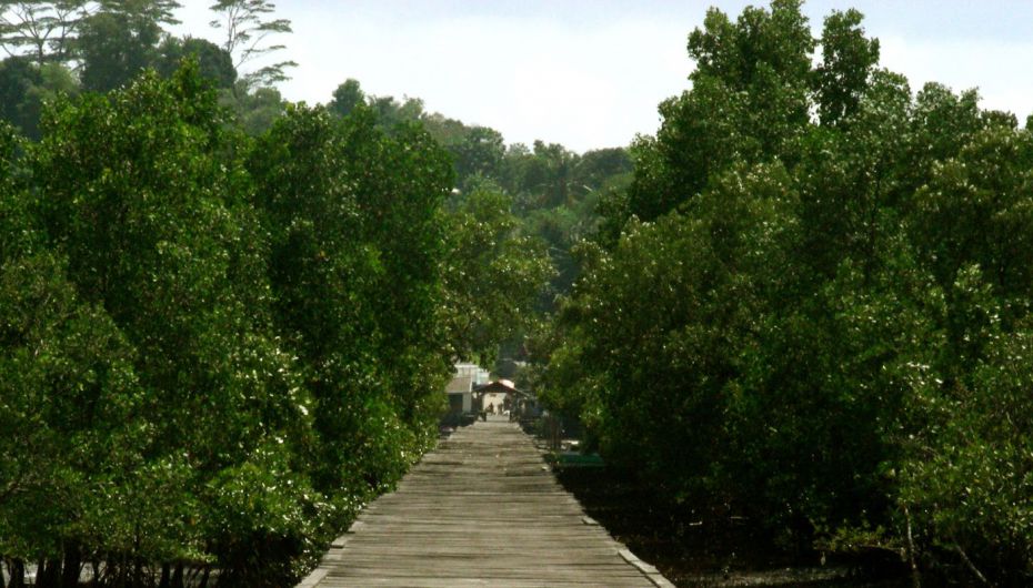 Mangrove Center Kariangau Graha Balikapapan
