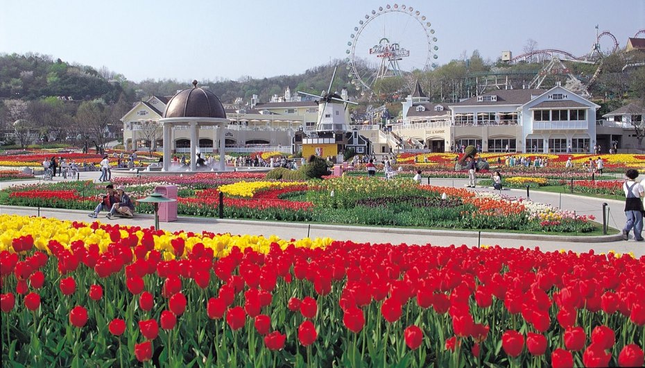 Everland Theme park