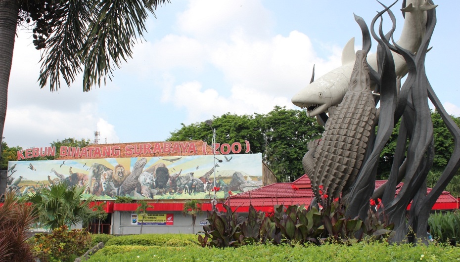 Kebun Binatabg Banyuwangi Kebun Binatang Ragunan Jakarta