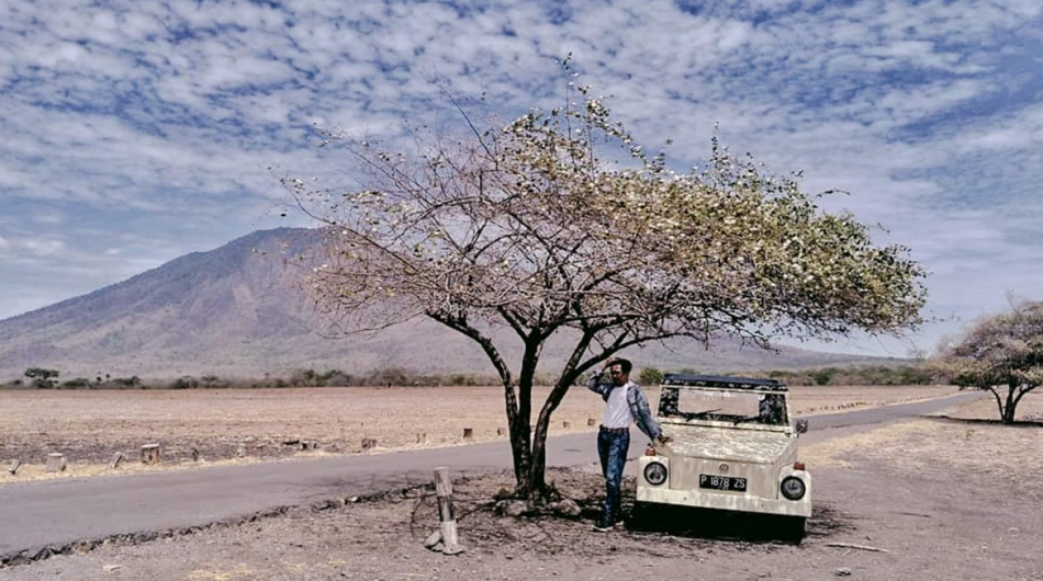 Taman Nasional Baluran