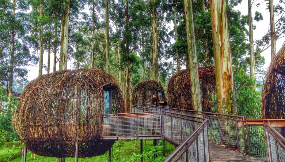 Dusun bambu