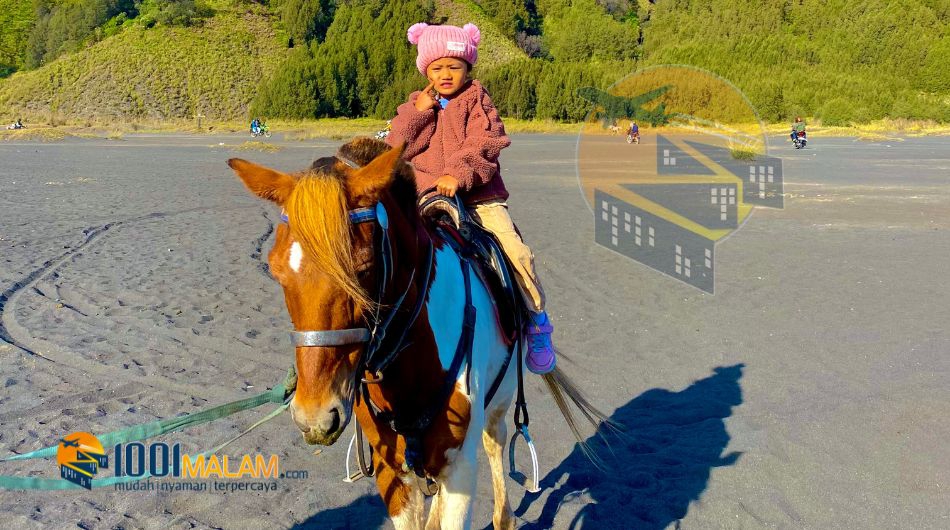 Bromo Horse Riding