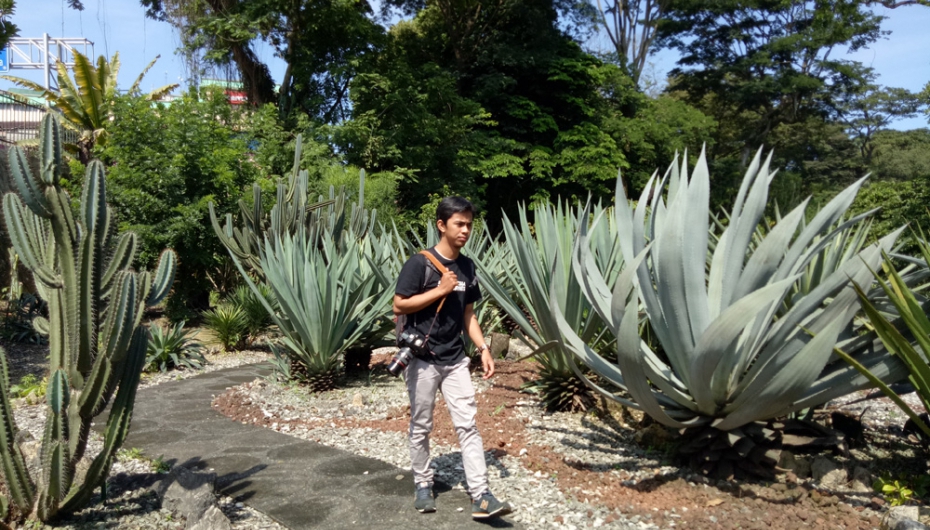 Taman Meksiko @ Kebun Raya Bogor