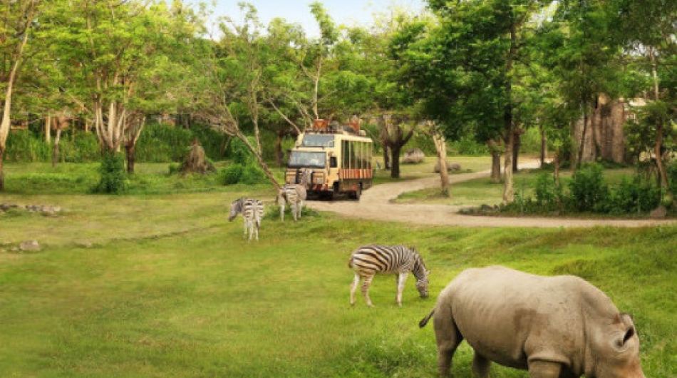 Paket Wisata Taman Safari