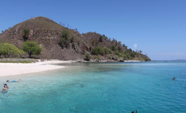 Pulau Rinca