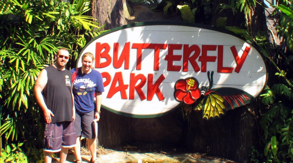 Butterfly Park & Insect Kingdom